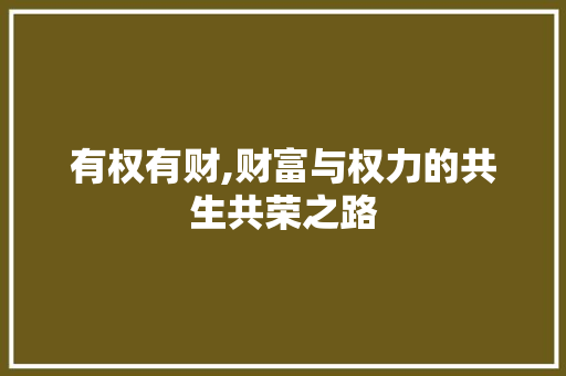 有权有财,财富与权力的共生共荣之路