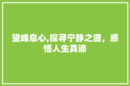 望峰息心,探寻宁静之源，感悟人生真谛