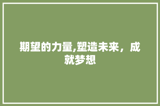 期望的力量,塑造未来，成就梦想