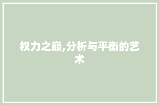权力之巅,分析与平衡的艺术