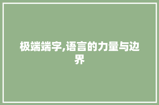极端端字,语言的力量与边界