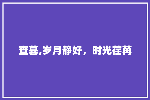 查暮,岁月静好，时光荏苒