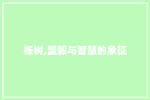 栎树,坚毅与智慧的象征