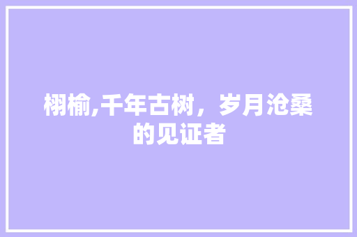栩榆,千年古树，岁月沧桑的见证者