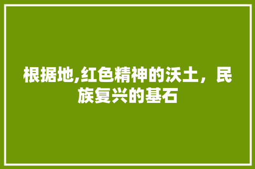 根据地,红色精神的沃土，民族复兴的基石