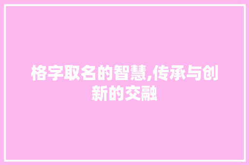 格字取名的智慧,传承与创新的交融