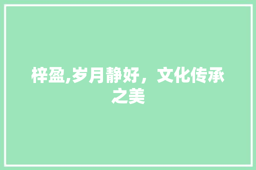 梓盈,岁月静好，文化传承之美