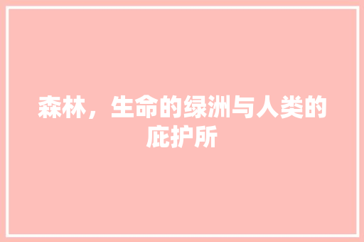 森林，生命的绿洲与人类的庇护所
