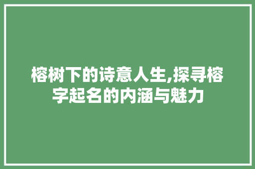 榕树下的诗意人生,探寻榕字起名的内涵与魅力