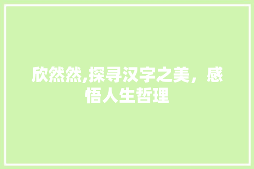 欣然然,探寻汉字之美，感悟人生哲理