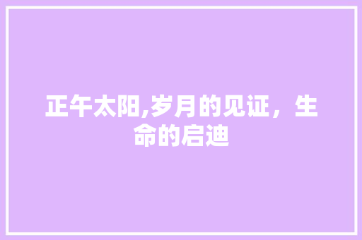 正午太阳,岁月的见证，生命的启迪
