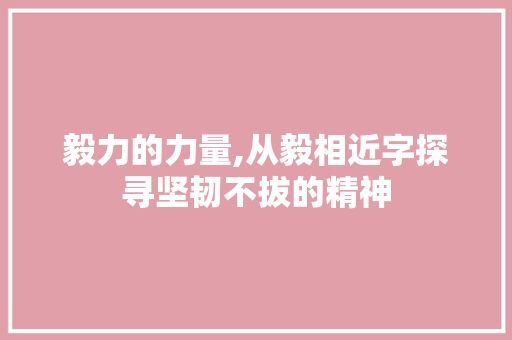 毅力的力量,从毅相近字探寻坚韧不拔的精神