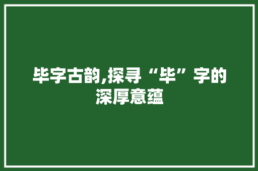 毕字古韵,探寻“毕”字的深厚意蕴