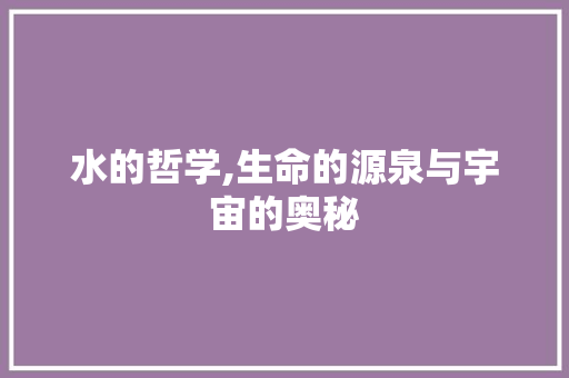 水的哲学,生命的源泉与宇宙的奥秘