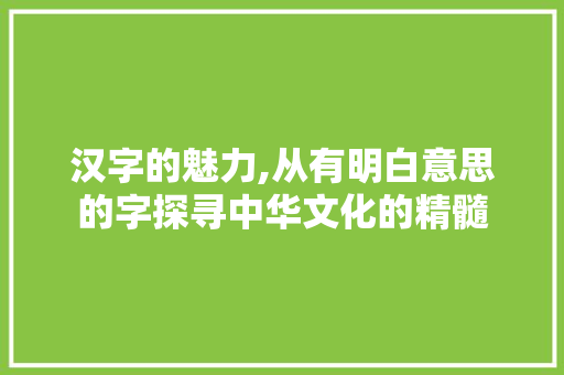 汉字的魅力,从有明白意思的字探寻中华文化的精髓