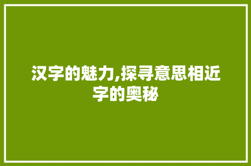 汉字的魅力,探寻意思相近字的奥秘
