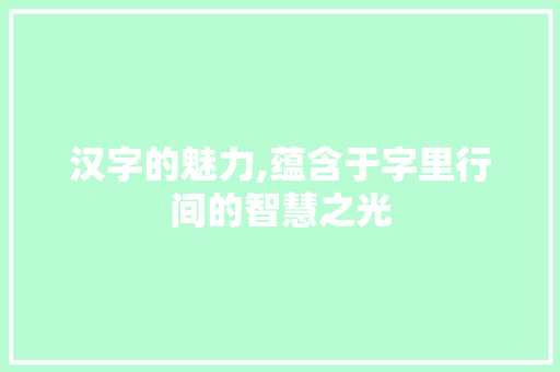汉字的魅力,蕴含于字里行间的智慧之光