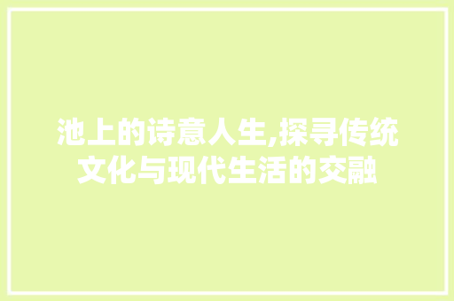 池上的诗意人生,探寻传统文化与现代生活的交融