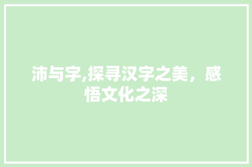 沛与字,探寻汉字之美，感悟文化之深
