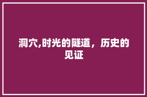 洞穴,时光的隧道，历史的见证