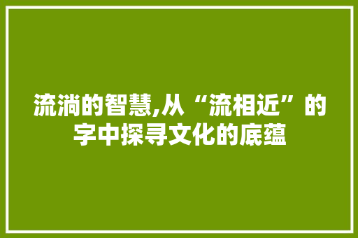 流淌的智慧,从“流相近”的字中探寻文化的底蕴