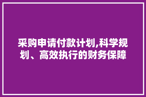 采购申请付款计划,科学规划、高效执行的财务保障