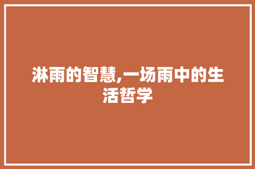 淋雨的智慧,一场雨中的生活哲学