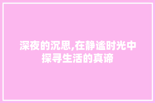 深夜的沉思,在静谧时光中探寻生活的真谛