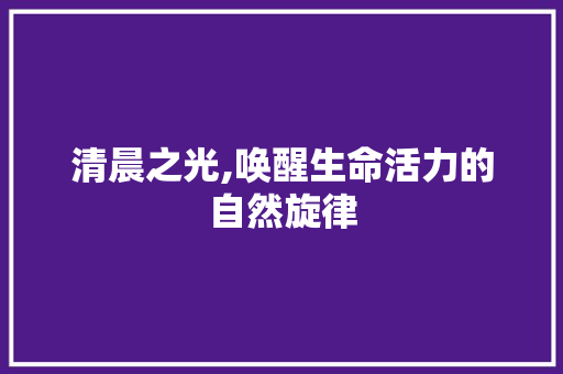 清晨之光,唤醒生命活力的自然旋律