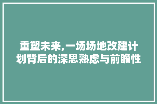 重塑未来,一场场地改建计划背后的深思熟虑与前瞻性规划