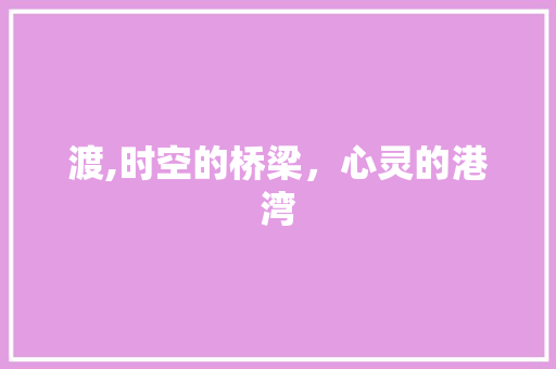 渡,时空的桥梁，心灵的港湾