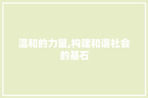 温和的力量,构建和谐社会的基石