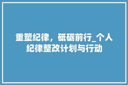重塑纪律，砥砺前行_个人纪律整改计划与行动