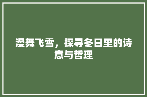 漫舞飞雪，探寻冬日里的诗意与哲理 成语汇编