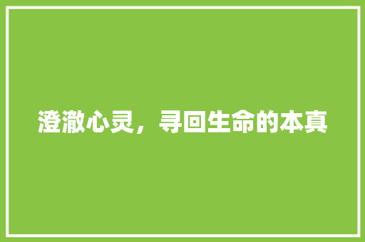 澄澈心灵，寻回生命的本真