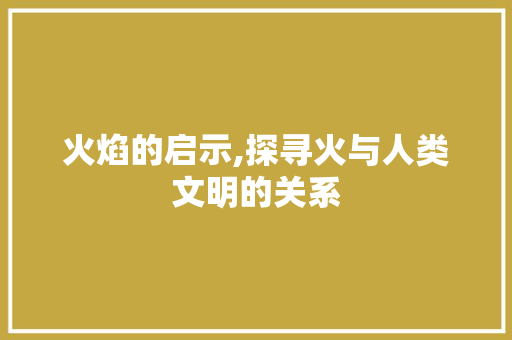 火焰的启示,探寻火与人类文明的关系