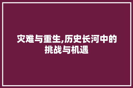 灾难与重生,历史长河中的挑战与机遇