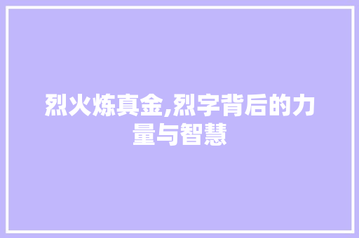 烈火炼真金,烈字背后的力量与智慧