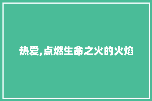 热爱,点燃生命之火的火焰