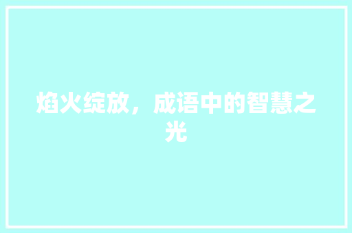 焰火绽放，成语中的智慧之光