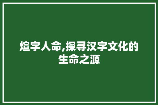 煊字人命,探寻汉字文化的生命之源