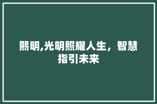 熙明,光明照耀人生，智慧指引未来