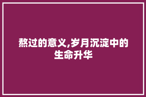 熬过的意义,岁月沉淀中的生命升华