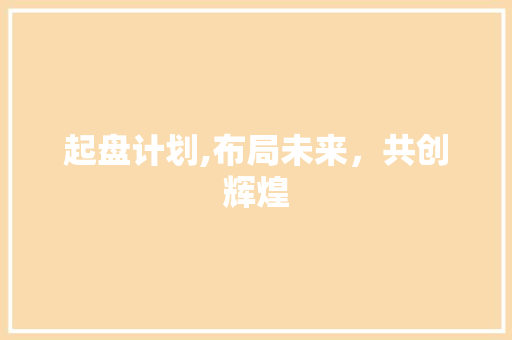 起盘计划,布局未来，共创辉煌