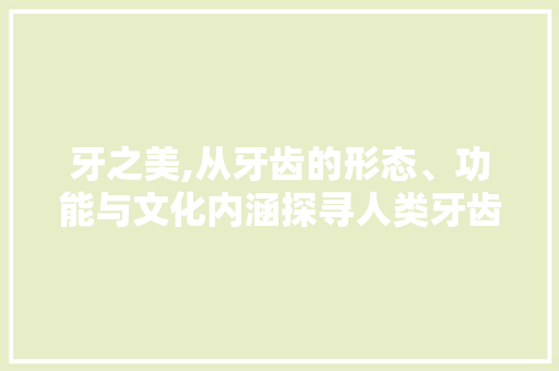 牙之美,从牙齿的形态、功能与文化内涵探寻人类牙齿的独特魅力