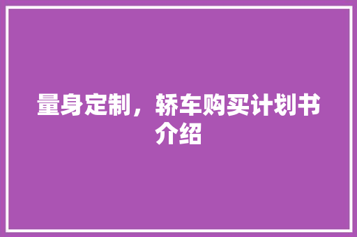 量身定制，轿车购买计划书介绍