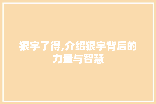 狠字了得,介绍狠字背后的力量与智慧