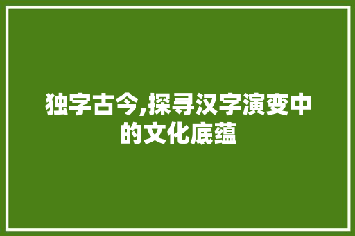 独字古今,探寻汉字演变中的文化底蕴