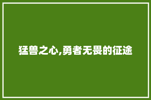 猛兽之心,勇者无畏的征途