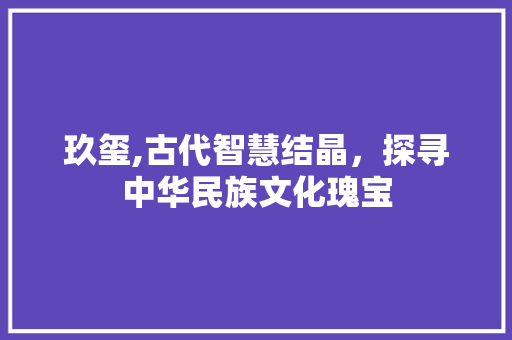 玖玺,古代智慧结晶，探寻中华民族文化瑰宝